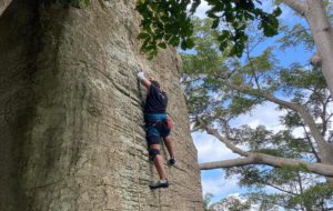 Entrepreneurship to Rebuild the Tourism Industry