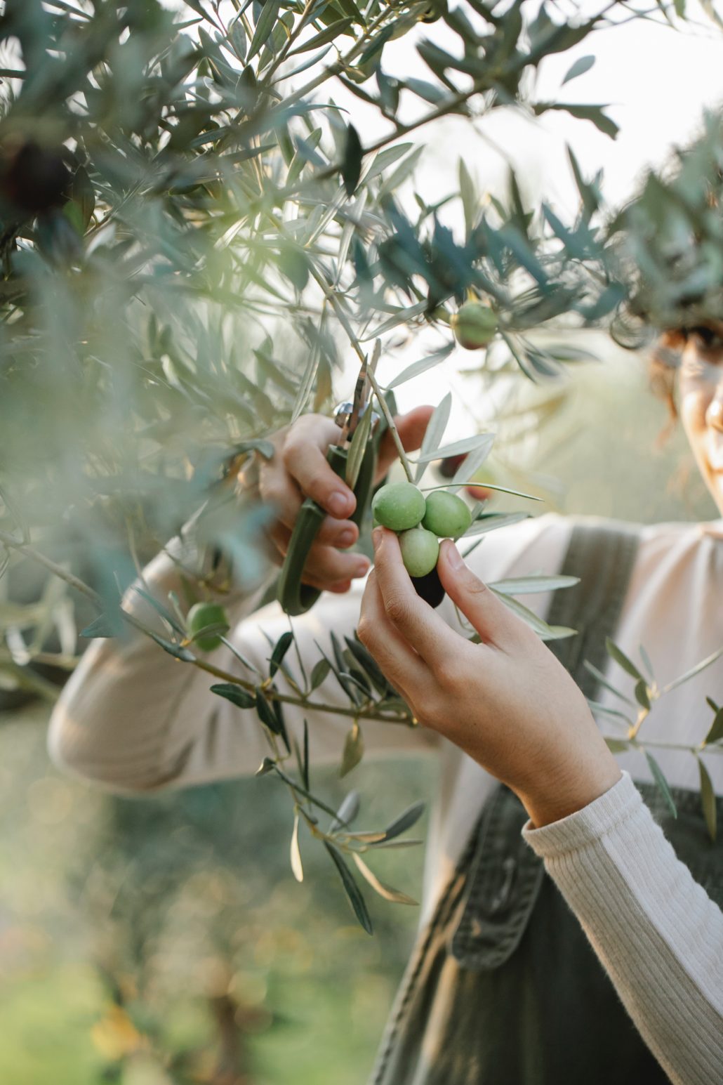 empowering european women in agrifood_Impact Hub